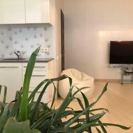 River View In Old Apartment